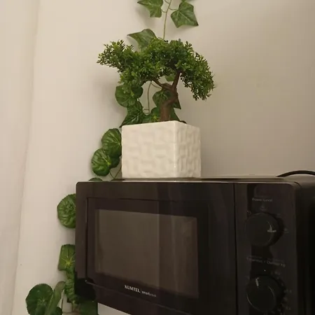 Decumani 21 Appartamento *